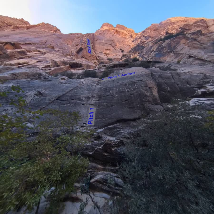 360° topo preview of Epinephrine